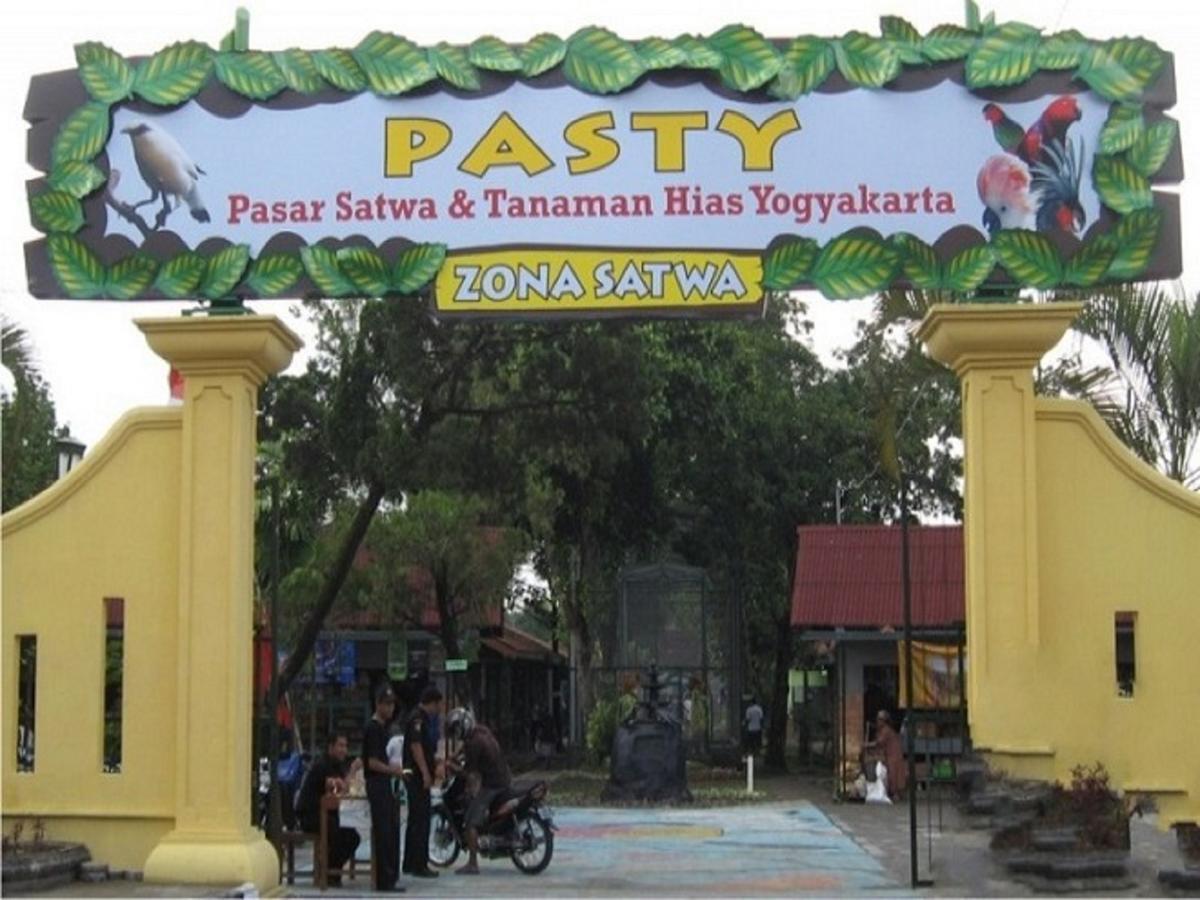 La Javanaise Home Stay Malioboro Yogyakarta Exteriér fotografie